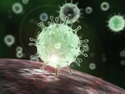 ویروس کرونا؛ کدام اندام‌ها را درگیر می‌کند؟
