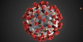 اخبار جدید از ویروس کرونا| 7800 مبتلا و 170 کشته تا کنون؛ درخواست بهداشت جهانی از دولت‌ها برای آماده‌باش