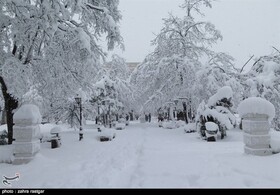 برف کم سابقه در رشت+ عکس